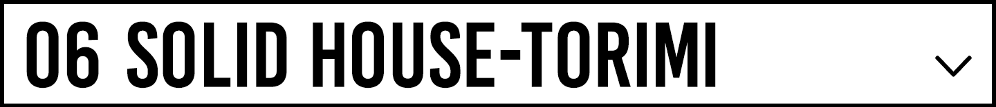 SOLID HOUSE-TORIMI
