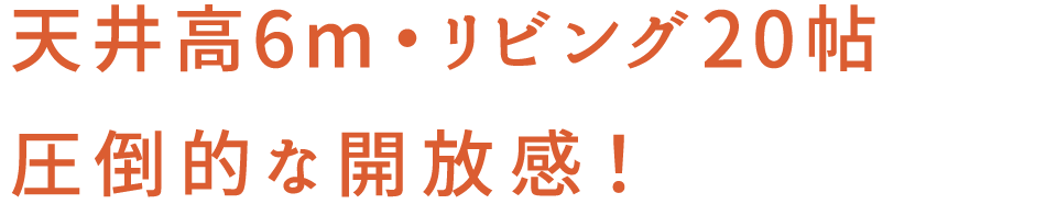 天井高6m・リビング20帖 圧倒的な開放感！
