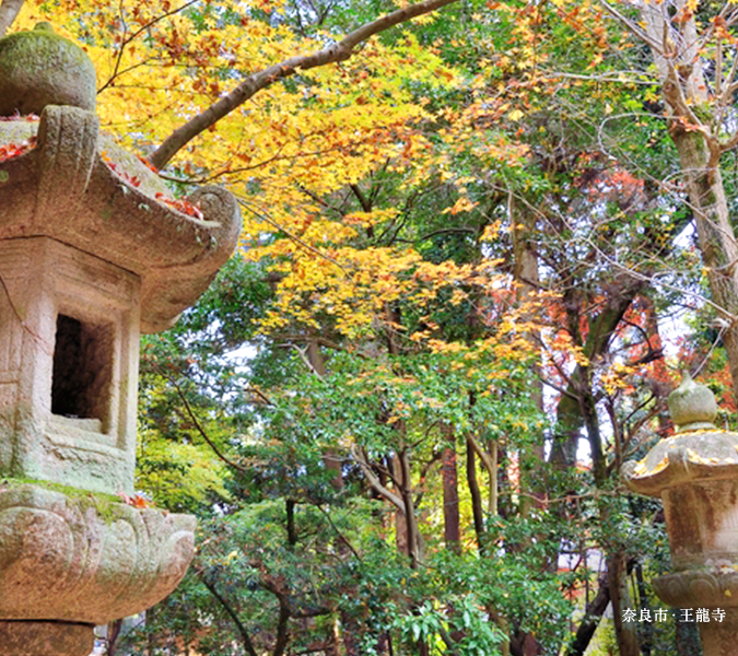 奈良市・王龍寺